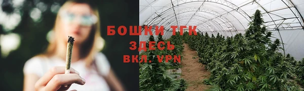 PSILOCYBIN Абаза
