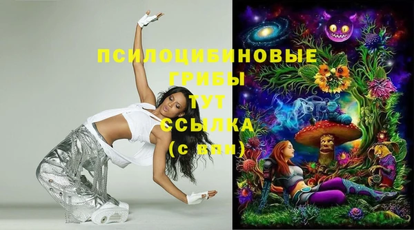PSILOCYBIN Абаза