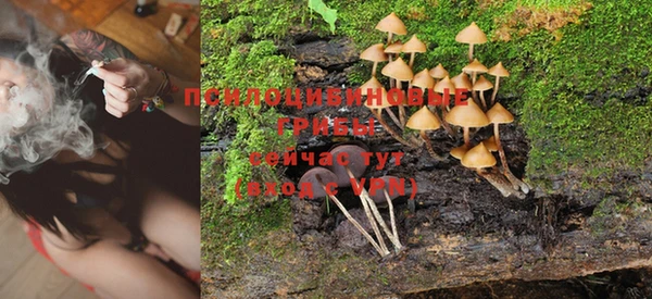 PSILOCYBIN Абаза