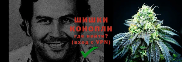 ГАЛЛЮЦИНОГЕННЫЕ ГРИБЫ Новочеркасск