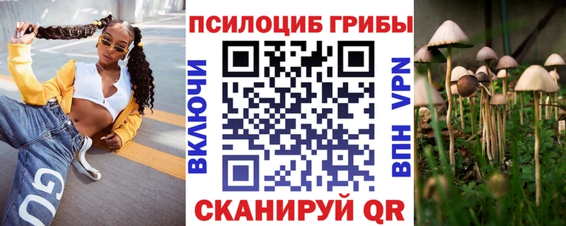 где купить   Уфа  Псилоцибиновые грибы Cubensis 