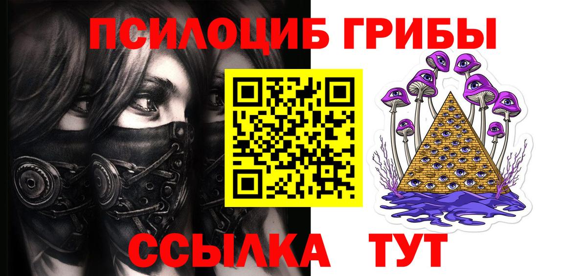 Псилоцибиновые грибы Psilocybe  Псилоцибиновые грибы Cubensis  Вход с VPN  Уфа 